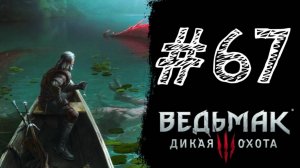 ЭХИДНЫ И СИРЕНЫ! Прохождение #67 - The Witcher 3: Wild Hunt.