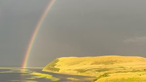 Умиротворение и природа/ Как мы проводим выходные в деревне/ Сажаем сосны/ Топим баню первый раз.