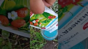 Истребления слизней.