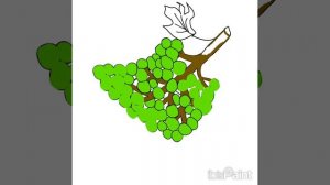 Рисую виноград🍇 в приложении ibis paint x