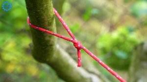 7 GREAT IDEA WITH ROPE THAT WILL HELP YOU A LOT