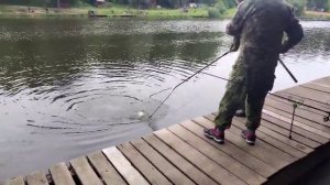 Карпуша на опарика