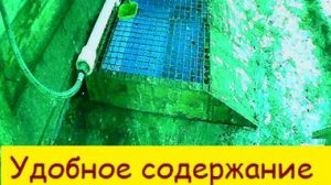 Удобное содержание