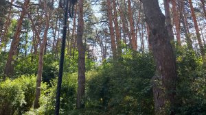 Кисловодск 6 июля 2025