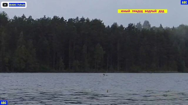 Дождливое воскресенье 06.07.2025 #бодрыйдедза65лет #юныйпрадедбодрыйдед #авсарх