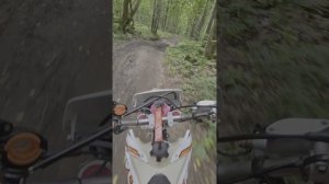 Страхово -Таруса через лес на Kayo K1 172