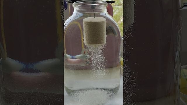 1000109106.mp4
