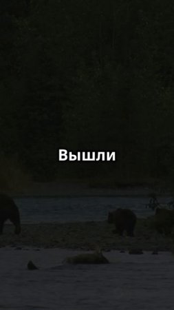 Незабываемое приключение на Конжаке: как Эдуард спас семью