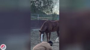 Best video of Tik Tok! 06.07.25 / 09