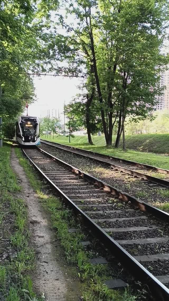 Всехсвятская роща, Москва. 05.07.2025 (17:25). Волоколамское шоссе. Пехотная улица. м.Щукинская.