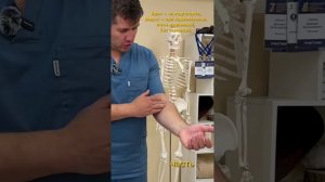 Боль в кисти Проблема в лучезапястном суставе