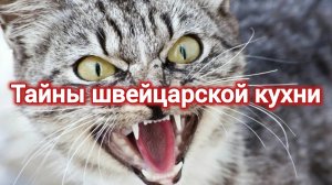 История пи. НИЩЕТА И КОШКИ. ТАЙНЫ ШВЕЙЦАРСКОЙ КУХНИ.