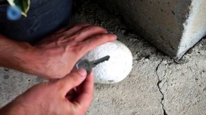 5 UNEXPECTED LIFE HACKS TO IMPROVE YOUR DAY