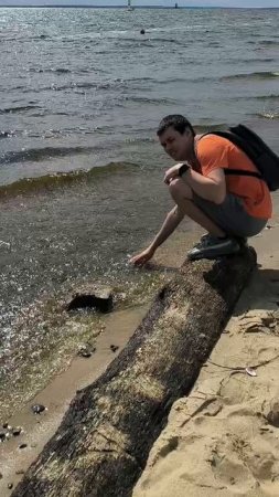 Тут вода