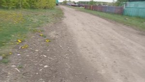 база
