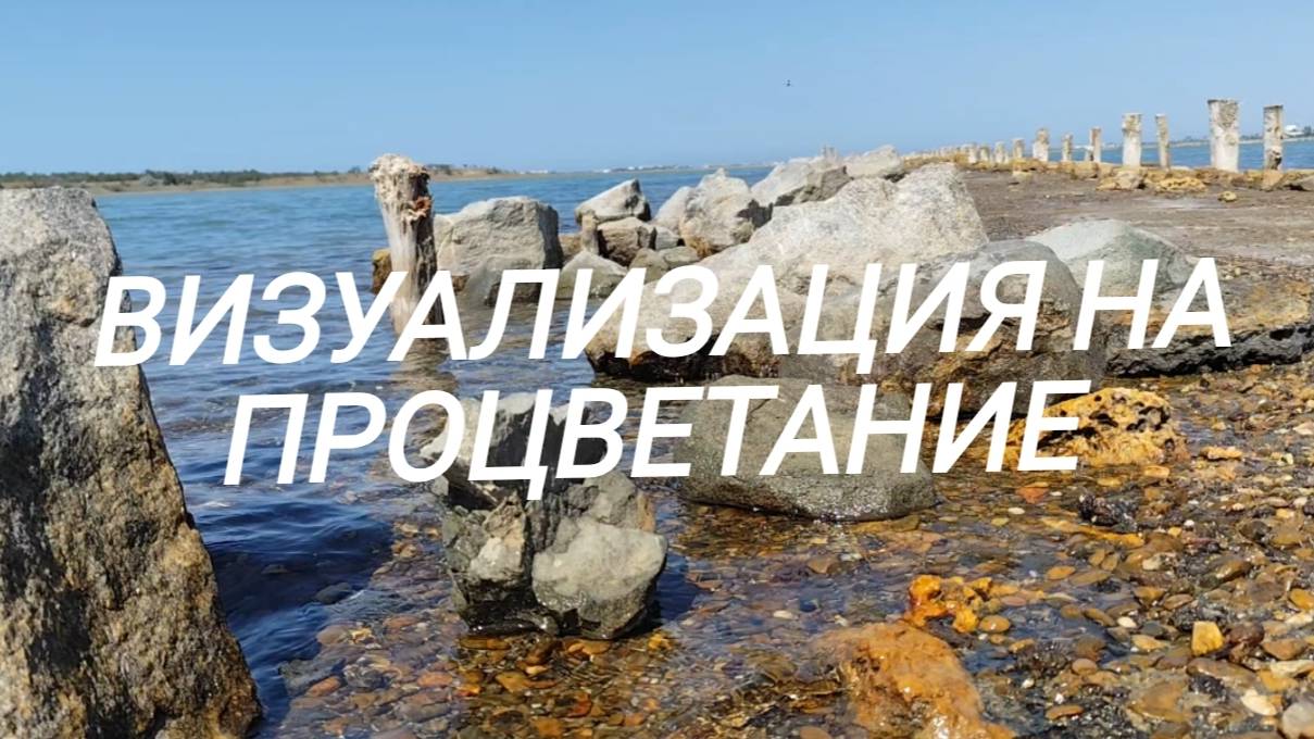 Визуализация на процветание