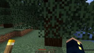 Никита Берг Бобби1545