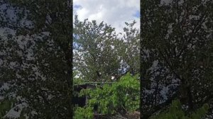 5 июля 2025 г. у нас + 33 в тени под вечер...