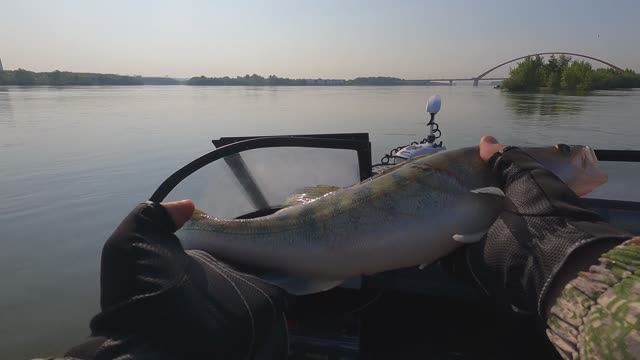 Рыбалка в черте города. Окунь, Судак. смотреть онлайн