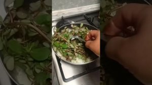Сегодня всё делала, очень устала