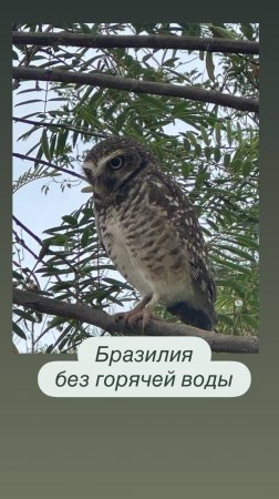 Бразилия
Путешествие по Южной Америке