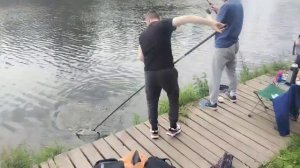 Зеркаш на опарика