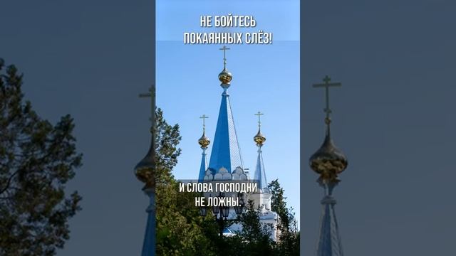 Не бойтесь покаянных слёз!