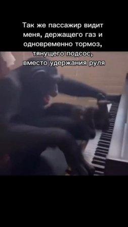 🐳 Карбюратор