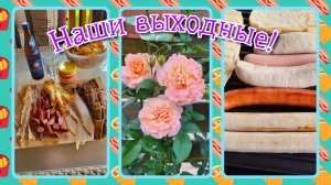 VLOG из 🇩🇪: Наши выходные! / Гриль в беседке. / Пивной вечер. / Шок!!! БОМЖи в Германии!!!