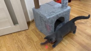 Эх не как не могу поймать красную точку, но когда то я её поймаю