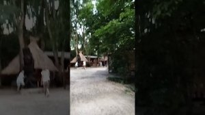 Поездка в Сукко на Африканское шоу. 05.07.2025 г. Россия.
