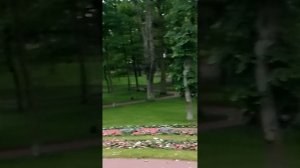 Дворцовый парк