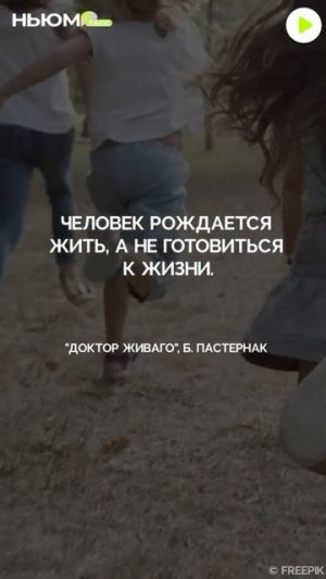 Цитата дня