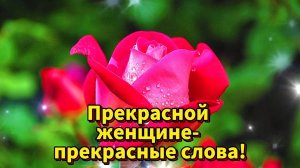 💝ПРЕКРАСНОЙ ЖЕНЩИНЕ - ПРЕКРАСНЫЕ СЛОВА! 💝КРАСИВЫЕ ЦВЕТЫ ДЛЯ САМОЙ ЛУЧШЕЙ! 💝🌹🌹🌹🌹🌹🌹🌹🌹🌹🌹🌹
