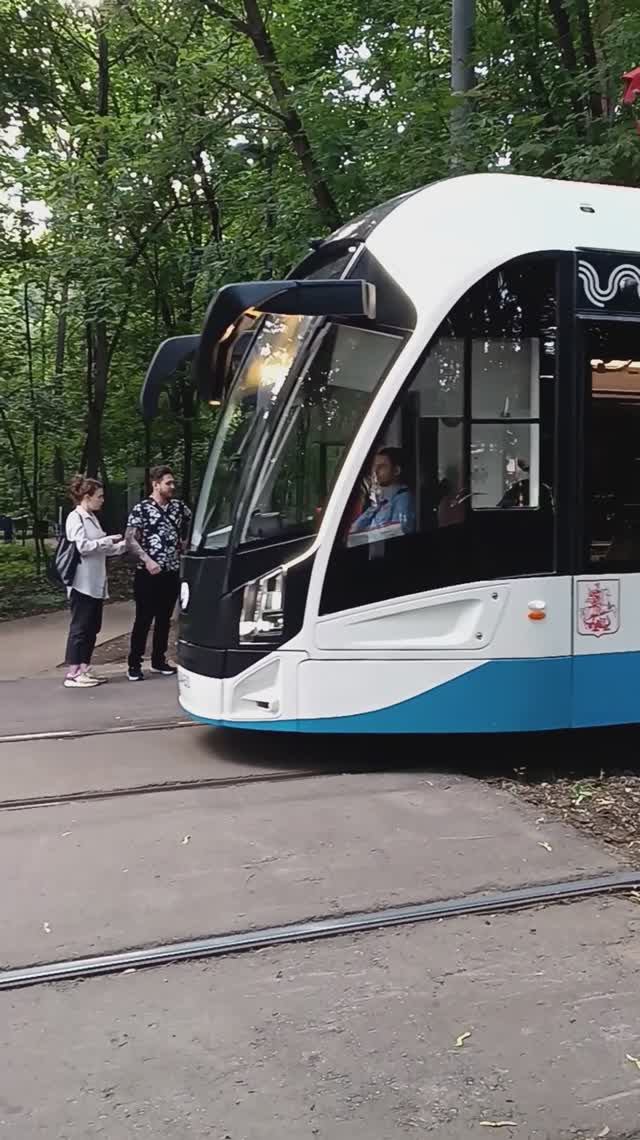 Трамваи. Всехсвятская роща, Москва. 05.07.2025 (17:49). Улица Академика Курчатова. (м. Щукинская).