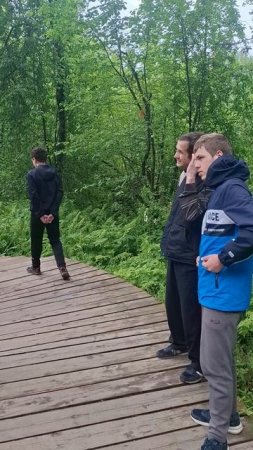 Древний кедр Алтая: живой символ силы и долголетия 🌲