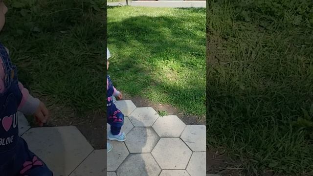 06-07-2025