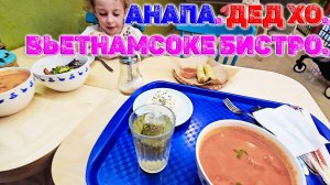 Анапа Дед ХО Вьетнамское бистро. Заказали Том Ям, Немы, рис с овощами, компот и зеленый чай. Комбо.