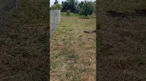 1000049993.mp4