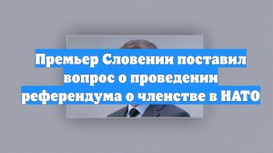 Премьер Словении поставил вопрос о проведении референдума о членстве в НАТО