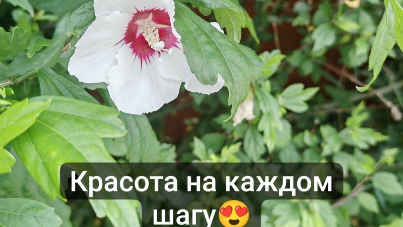 КРАСОТА ВОКРУГ НАС. МЕСТНАЯ ЗАГРАНИЦА РЯДОМ 😍