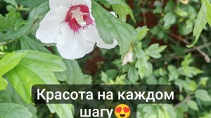 КРАСОТА ВОКРУГ НАС. МЕСТНАЯ ЗАГРАНИЦА РЯДОМ 😍
