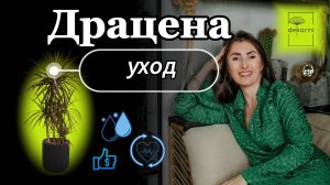 Уход за драценой