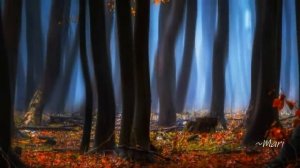 Sergey Grischuk ~ My Sadness