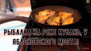 Рыбалка на реке Кубань, у Яблоновского моста!