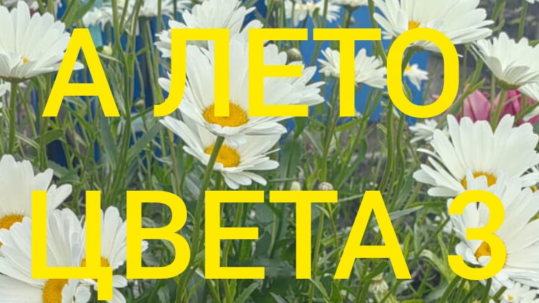 СП"А ЛЕТО ЦВЕТА 3" 3 ОТЧЕТ. УЧАСТНИК 66. смотреть онлайн