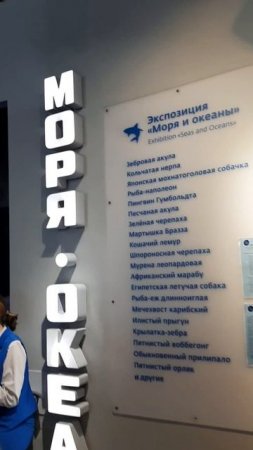 ЭКСПОЗИЦИЯ "МОРЯ И ОКЕАНЫ"