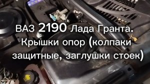 ВАЗ 2190 Лада Гранта. Крышки опор (колпаки защитные, заглушки стоек)