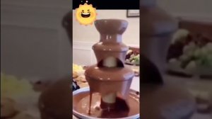 Приколы животные и не только