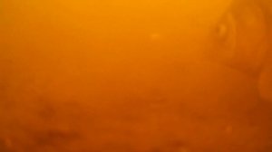 Подводная съёмка подводой  монтажа (ИВАН МОНТАЖ)